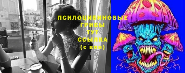 тгк Алзамай