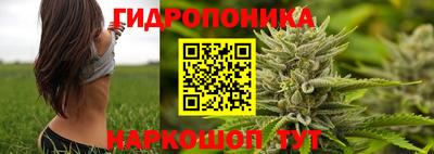 спиды Волжский