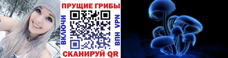 Псилоцибиновые грибы Psilocybe  Асино 