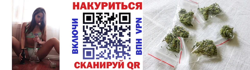 MEGA маркетплейс наркота Асино Бошки марихуана индика